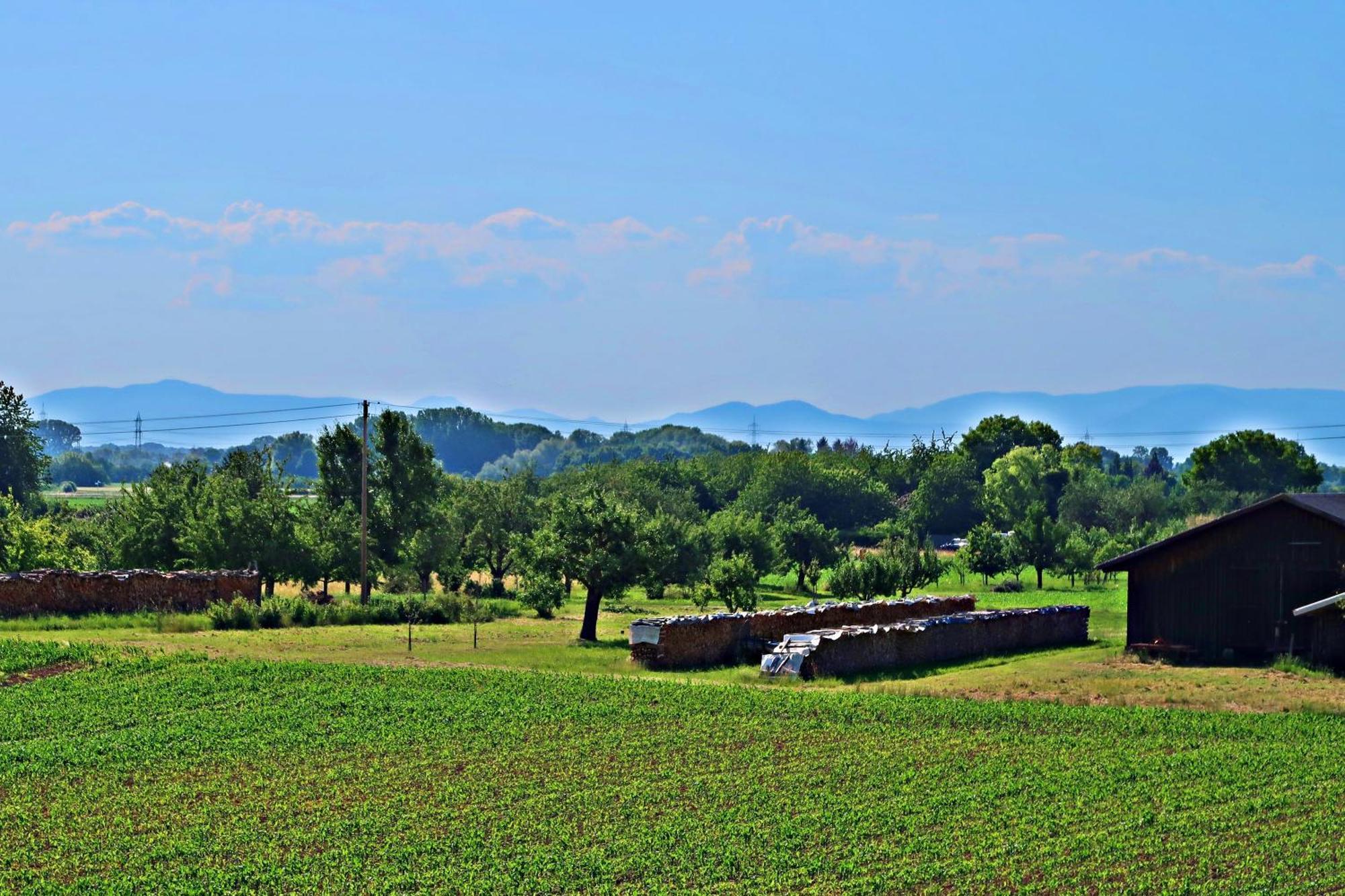 Gaestehaus Heimelig แฮร์บอลซ์ไฮม์ ภายนอก รูปภาพ
